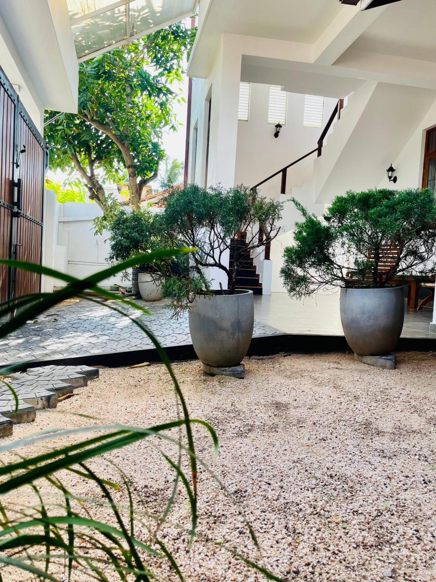 Sand & Surf Guest House Negombo Zewnętrze zdjęcie